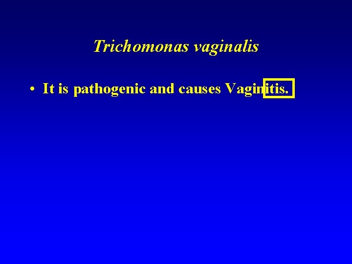 Trichomonas vaginalis • It is pathogenic and causes Vaginitis. 