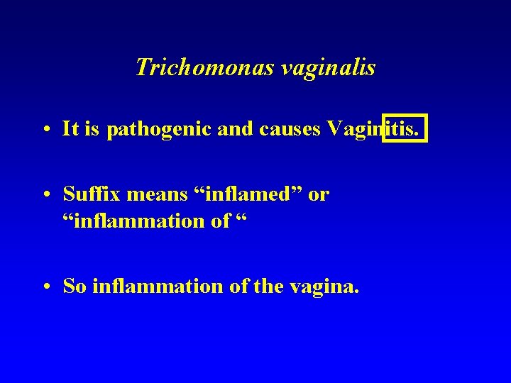 Trichomonas vaginalis • It is pathogenic and causes Vaginitis. • Suffix means “inflamed” or