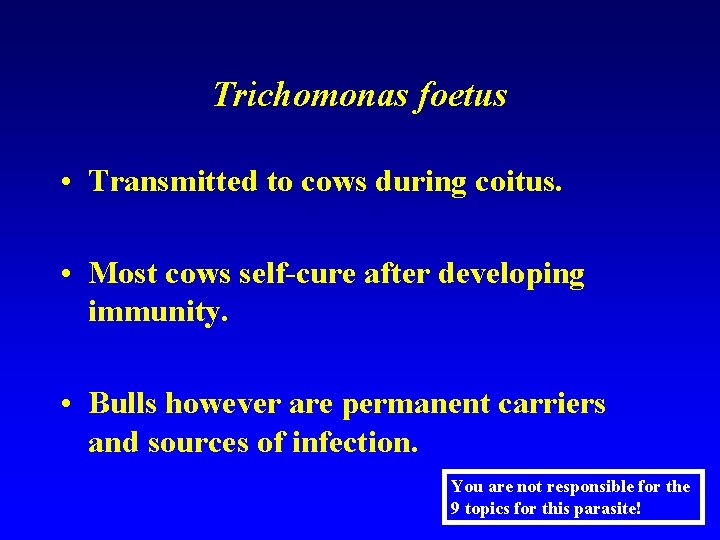 Trichomonas foetus • Transmitted to cows during coitus. • Most cows self-cure after developing