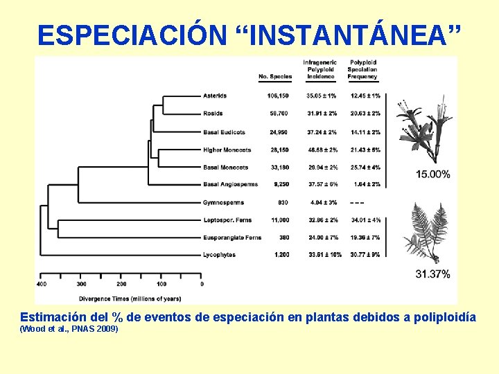 ESPECIACIÓN “INSTANTÁNEA” Estimación del % de eventos de especiación en plantas debidos a poliploidía