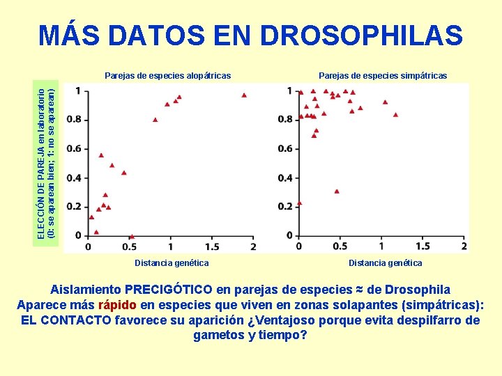 MÁS DATOS EN DROSOPHILAS Parejas de especies simpátricas ELECCIÓN DE PAREJA en laboratorio (0: