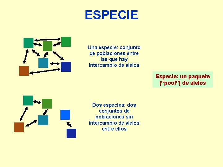 ESPECIE Una especie: conjunto de poblaciones entre las que hay intercambio de alelos Especie: