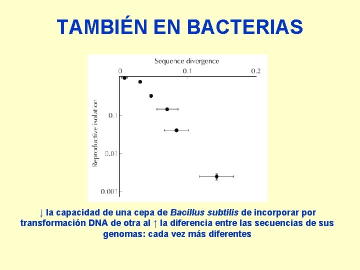 TAMBIÉN EN BACTERIAS ↓ la capacidad de una cepa de Bacillus subtilis de incorporar