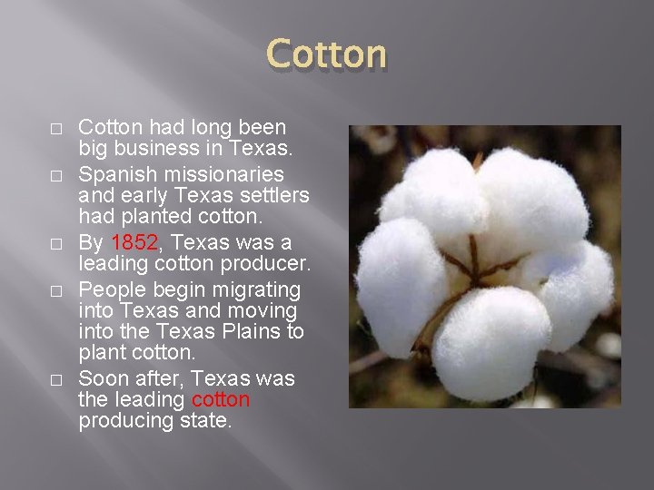 Cotton � � � Cotton had long been big business in Texas. Spanish missionaries