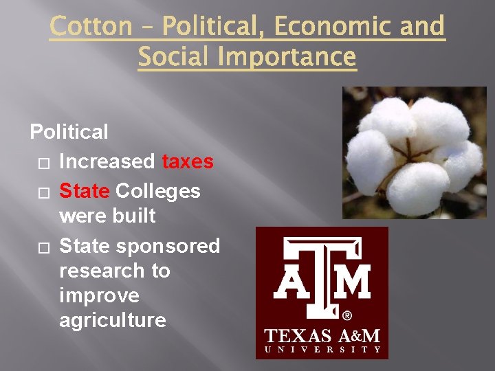 Political � Increased taxes � State Colleges were built � State sponsored research to