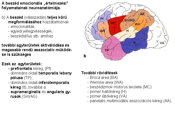 A beszéd emocionális „értelmezési” folyamatainak neuroanatómiája. b) A beszéd (válaszadás) teljes körű megformálásához hozzátartoznak