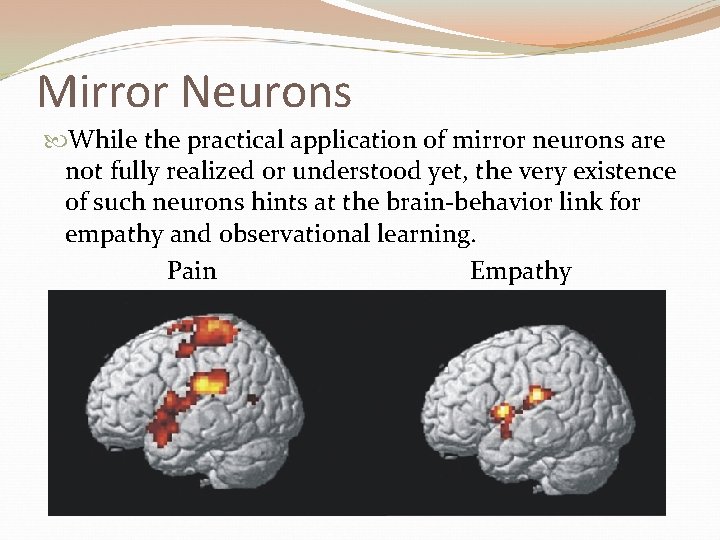 Mirror Neurons While the practical application of mirror neurons are not fully realized or