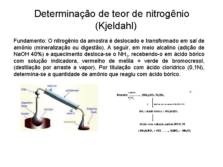 Determinação de teor de nitrogênio (Kjeldahl) Fundamento: O nitrogênio da amostra é deslocado e