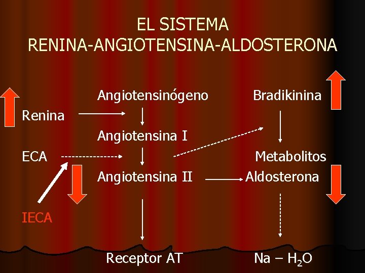 EL SISTEMA RENINA-ANGIOTENSINA-ALDOSTERONA Angiotensinógeno Bradikinina Renina Angiotensina I ECA Angiotensina II Metabolitos Aldosterona Receptor