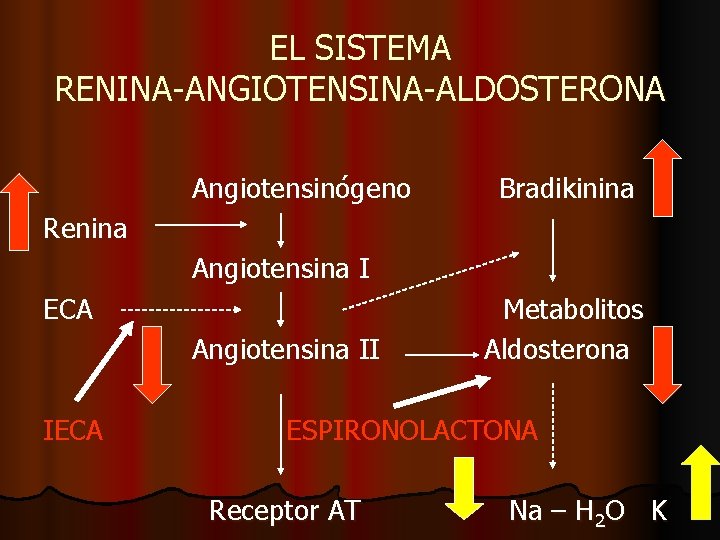 EL SISTEMA RENINA-ANGIOTENSINA-ALDOSTERONA Angiotensinógeno Bradikinina Renina Angiotensina I ECA Angiotensina II IECA Metabolitos Aldosterona