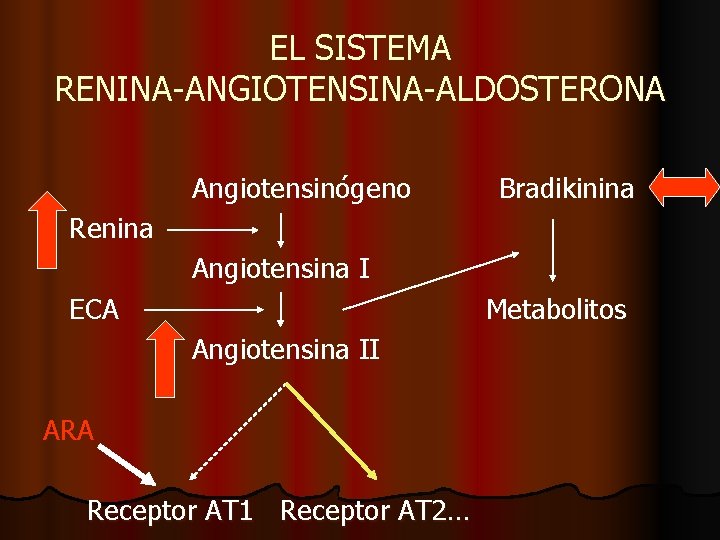 EL SISTEMA RENINA-ANGIOTENSINA-ALDOSTERONA Angiotensinógeno Bradikinina Renina Angiotensina I ECA Metabolitos Angiotensina II ARA Receptor