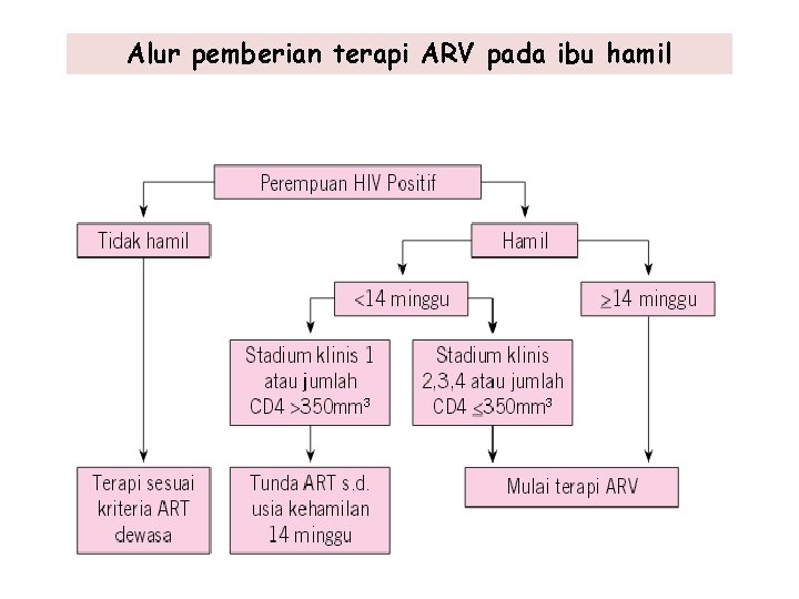 Alur pemberian terapi ARV pada ibu hamil 