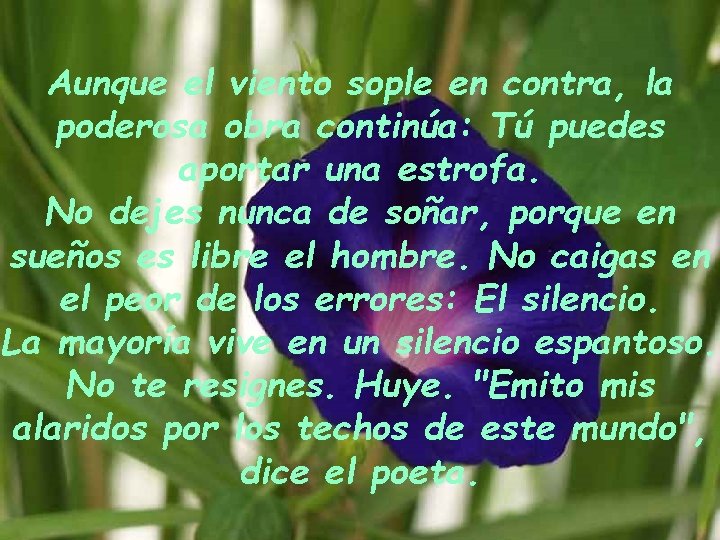 Aunque el viento sople en contra, la poderosa obra continúa: Tú puedes aportar una