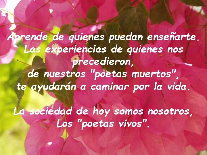 Aprende de quienes puedan enseñarte. Las experiencias de quienes nos precedieron, de nuestros "poetas