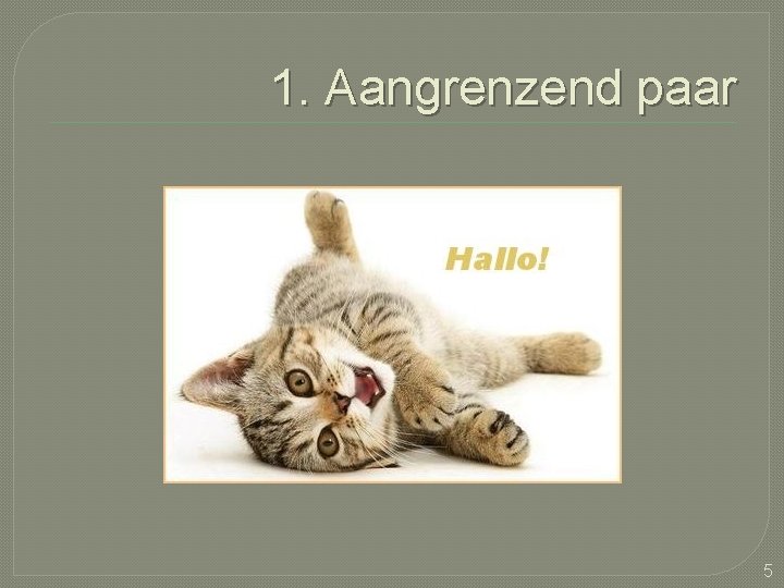 1. Aangrenzend paar 5 