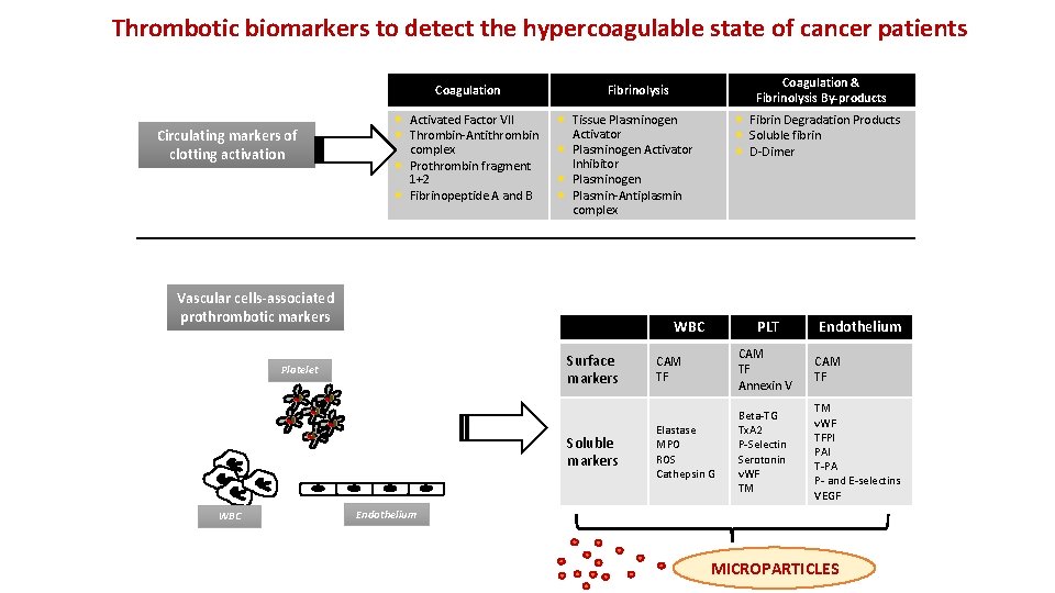 Thrombotic biomarkers to detect the hypercoagulable state of cancer patients Coagulation Circulating markers of