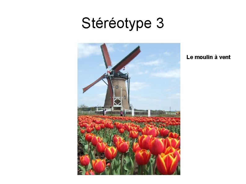 Stéréotype 3 Le moulin à vent 