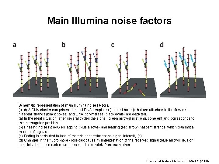 Main Illumina noise factors Schematic representation of main Illumina noise factors. (a–d) A DNA