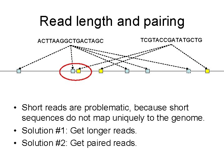 Read length and pairing ACTTAAGGCTGACTAGC TCGTACCGATATGCTG • Short reads are problematic, because short sequences