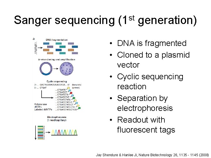 Sanger sequencing (1 st generation) • DNA is fragmented • Cloned to a plasmid