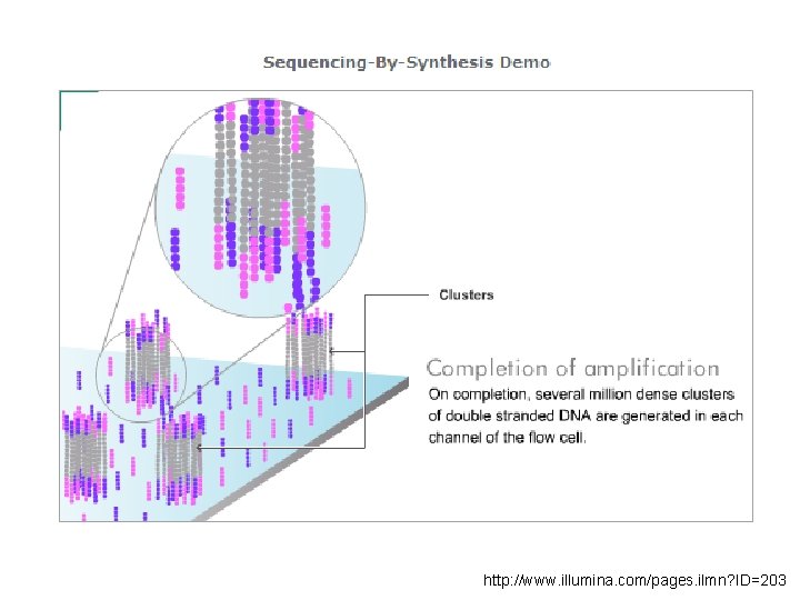 http: //www. illumina. com/pages. ilmn? ID=203 