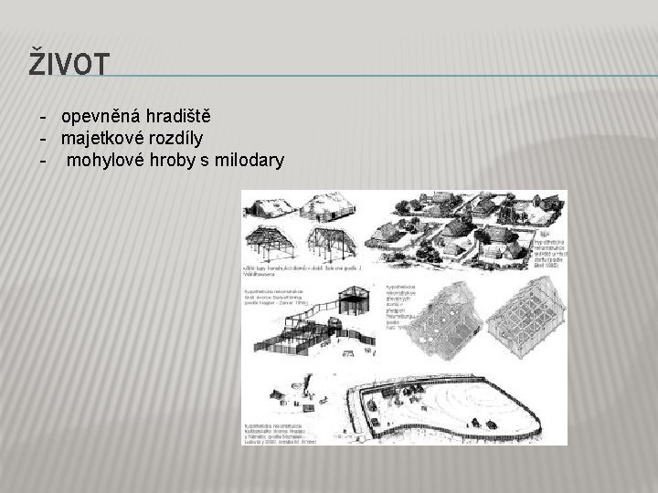 ŽIVOT - opevněná hradiště - majetkové rozdíly - mohylové hroby s milodary 