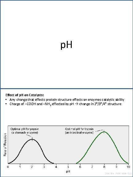 p. H Effect of p. H on Catalysts: • Any change that effects protein