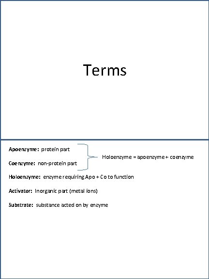 Terms Apoenzyme: protein part Coenzyme: non-protein part Holoenzyme = apoenzyme + coenzyme Holoenzyme: enzyme