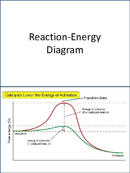 Reaction-Energy Diagram Transition State 