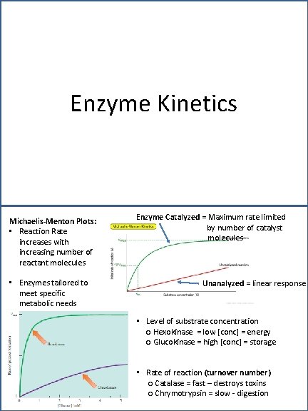Enzyme Kinetics Michaelis-Menton Plots: • Reaction Rate increases with increasing number of reactant molecules