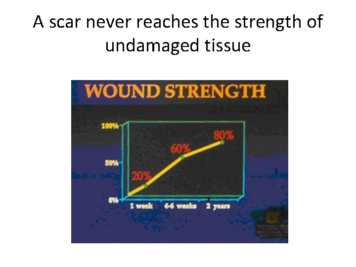A scar never reaches the strength of undamaged tissue 