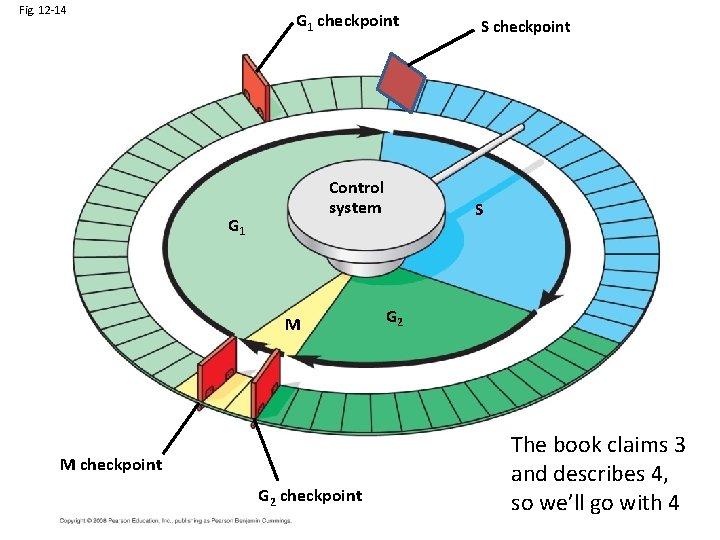 Fig. 12 -14 G 1 checkpoint Control system G 1 M M checkpoint G