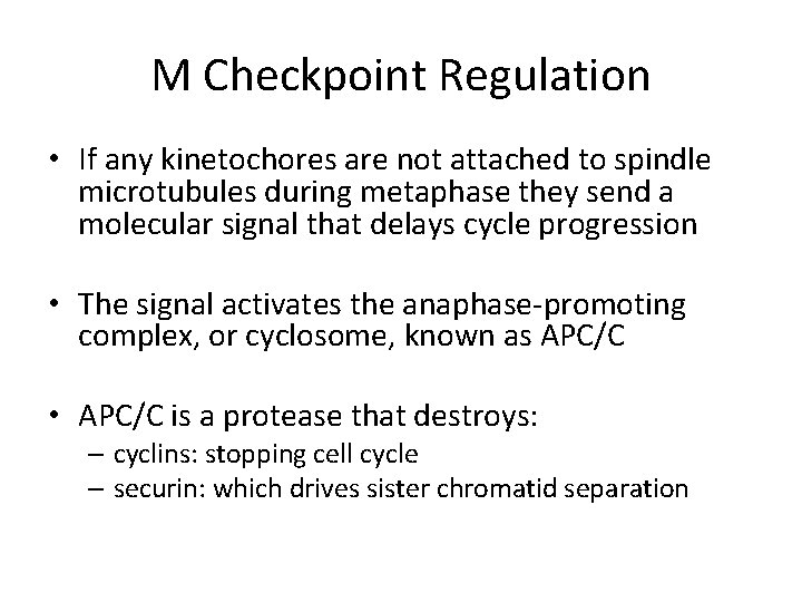 M Checkpoint Regulation • If any kinetochores are not attached to spindle microtubules during