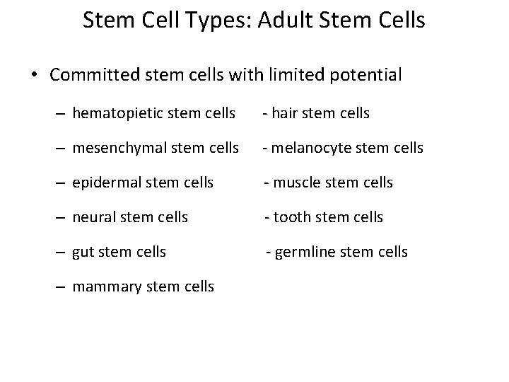 Stem Cell Types: Adult Stem Cells • Committed stem cells with limited potential –