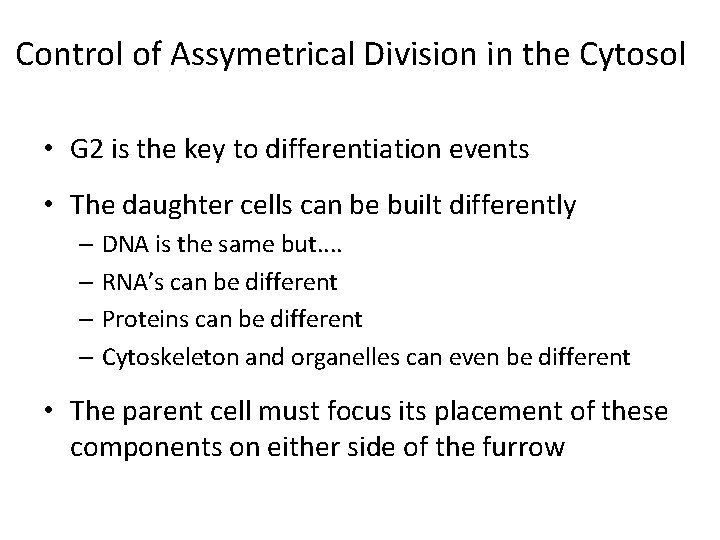 Control of Assymetrical Division in the Cytosol • G 2 is the key to