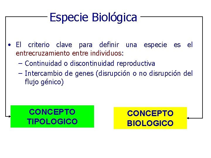 Especie Biológica • El criterio clave para definir una especie es el entrecruzamiento entre