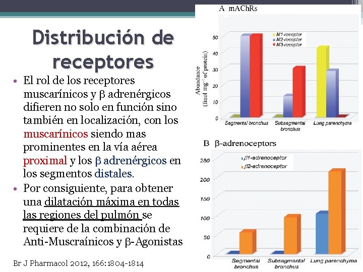 Distribución de receptores • El rol de los receptores muscarínicos y adrenérgicos difieren no
