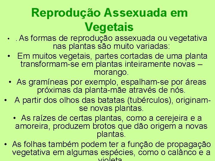  • . As Reprodução Assexuada em Vegetais formas de reprodução assexuada ou vegetativa