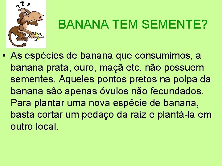 BANANA TEM SEMENTE? • As espécies de banana que consumimos, a banana prata, ouro,