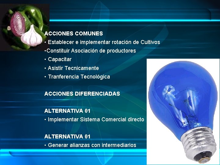 ACCIONES COMUNES • Establecer e implementar rotación de Cultivos • Constituir Asociación de productores