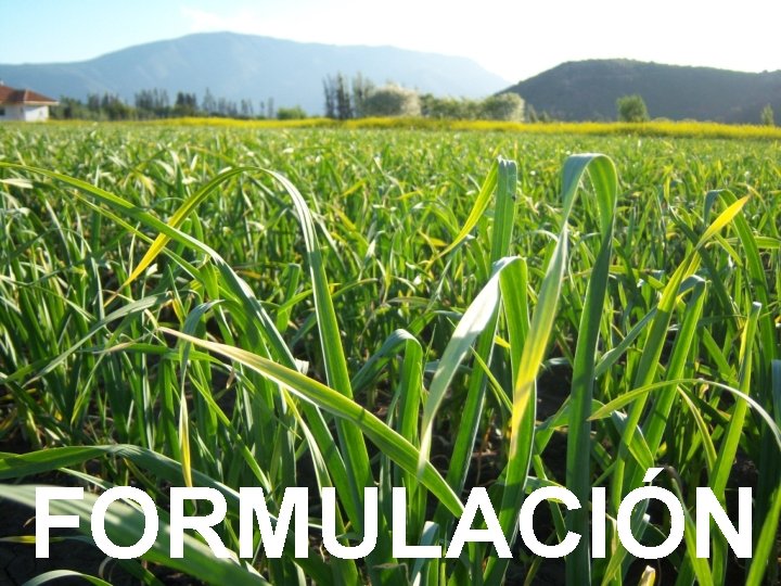FORMULACIÓN 