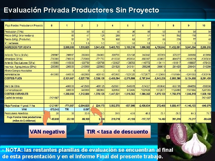 Evaluación Privada Productores Sin Proyecto VAN negativo TIR < tasa de descuento • NOTA: