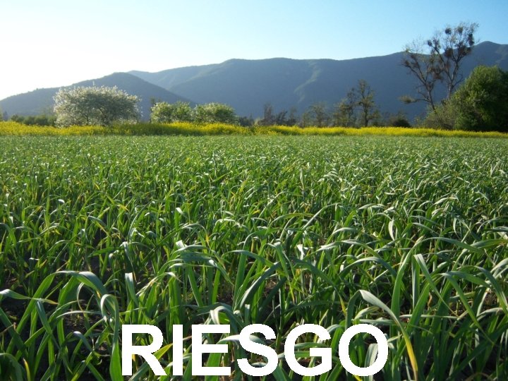 RIESGO 