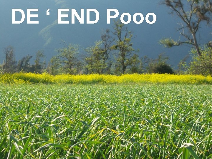 DE ‘ END Pooo 