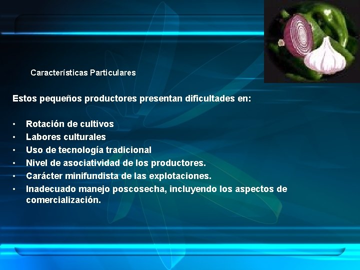 Características Particulares Estos pequeños productores presentan dificultades en: • • • Rotación de cultivos