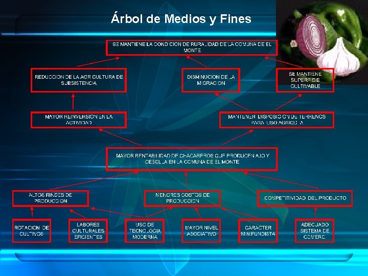 Árbol de Medios y Fines 