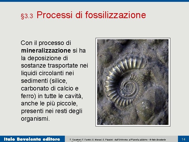 § 3. 3 Processi di fossilizzazione Con il processo di mineralizzazione si ha la