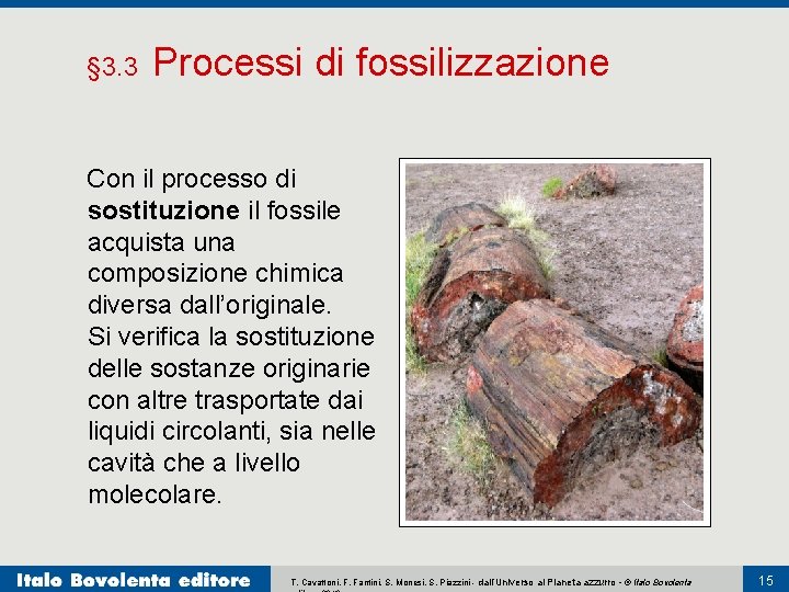 § 3. 3 Processi di fossilizzazione Con il processo di sostituzione il fossile acquista