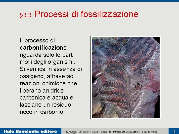 § 3. 3 Processi di fossilizzazione Il processo di carbonificazione riguarda solo le parti