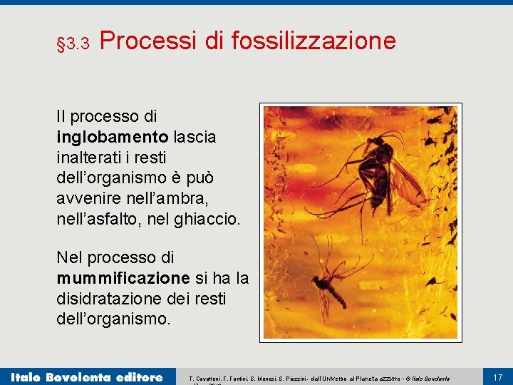 § 3. 3 Processi di fossilizzazione Il processo di inglobamento lascia inalterati i resti